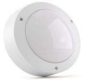   Circus Pro 20 1900 IP65  